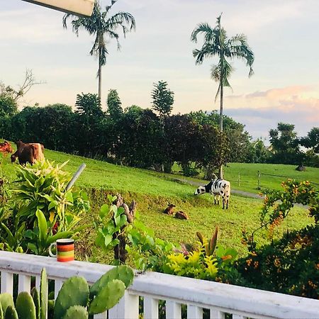 Apaula Heights Lounge Bed and Breakfast Apia Eksteriør billede